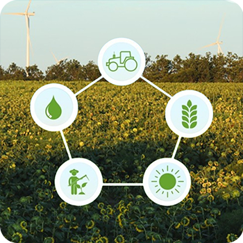 Our Farming Philosophy